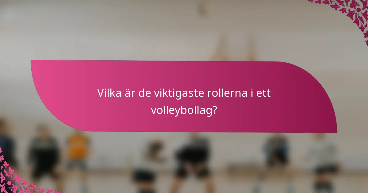 Vilka är de viktigaste rollerna i ett volleybollag?
