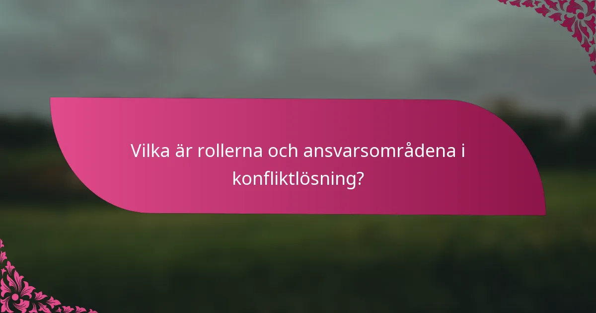 Vilka är rollerna och ansvarsområdena i konfliktlösning?